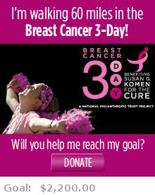 I'm walking 60 miles in the Dallas/Ft. Worth Breast Cancer 3-Day! Will you help me reach my goal?
