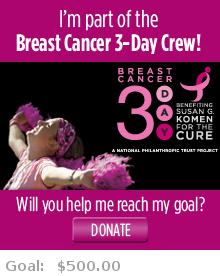 Help me reach my goal for the Michigan Breast Cancer 3-Day!